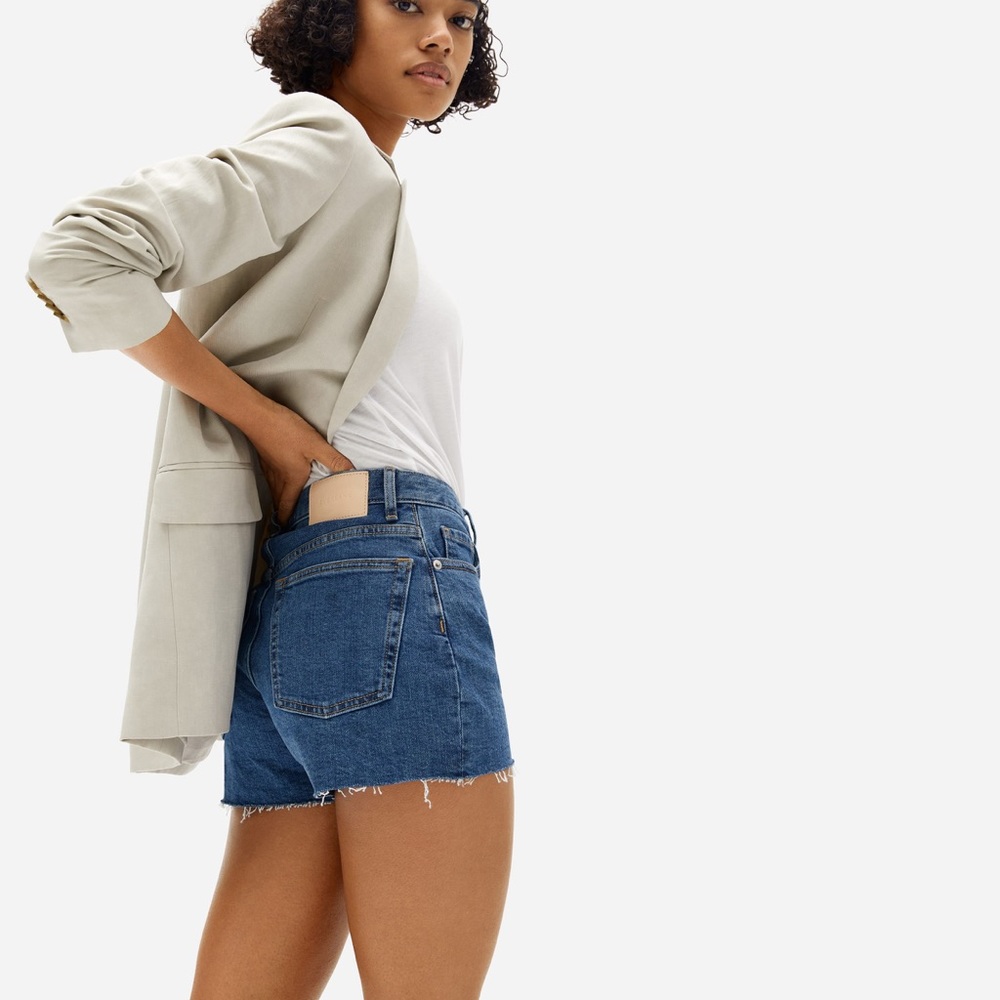 Everlane Cheeky Denim Shorts Raw Hem